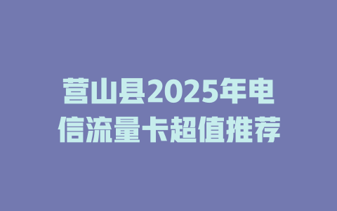 营山县2025年电信流量卡超值推荐