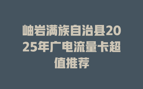 岫岩满族自治县2025年广电流量卡超值推荐