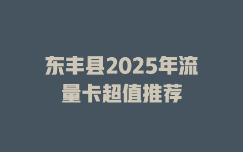 东丰县2025年流量卡超值推荐