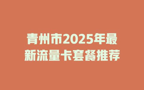 青州市2025年最新流量卡套餐推荐