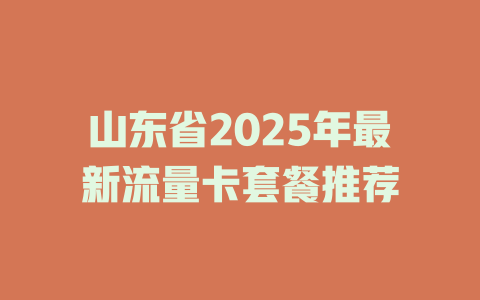 山东省2025年最新流量卡套餐推荐