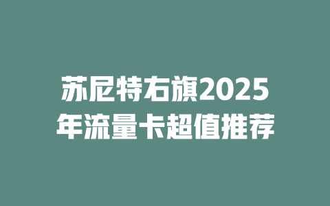 苏尼特右旗2025年流量卡超值推荐