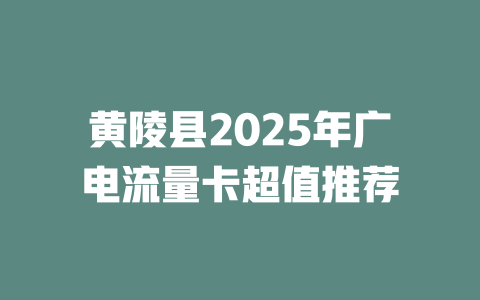 黄陵县2025年广电流量卡超值推荐