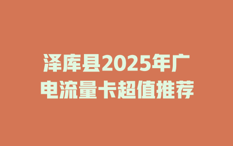 泽库县2025年广电流量卡超值推荐