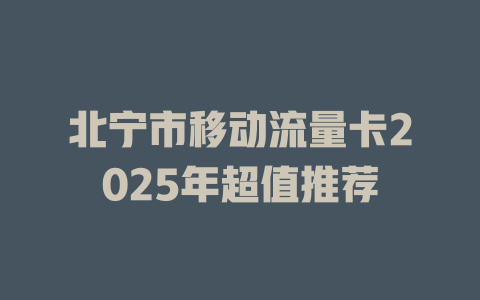 北宁市移动流量卡2025年超值推荐