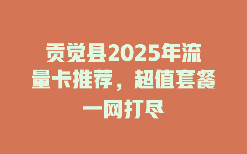 贡觉县2025年流量卡推荐，超值套餐一网打尽