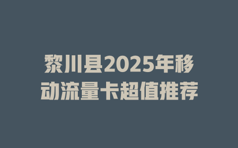 黎川县2025年移动流量卡超值推荐