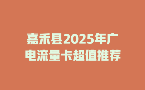 嘉禾县2025年广电流量卡超值推荐