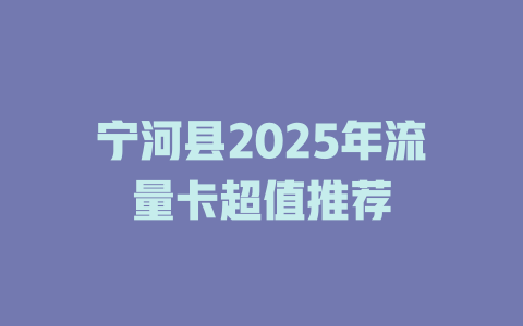 宁河县2025年流量卡超值推荐