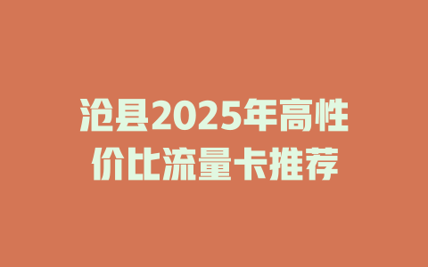 沧县2025年高性价比流量卡推荐
