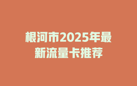 根河市2025年最新流量卡推荐