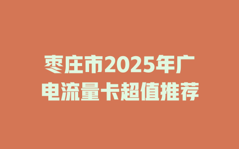 枣庄市2025年广电流量卡超值推荐