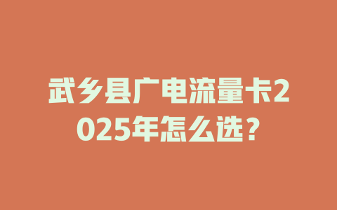 武乡县广电流量卡2025年怎么选？