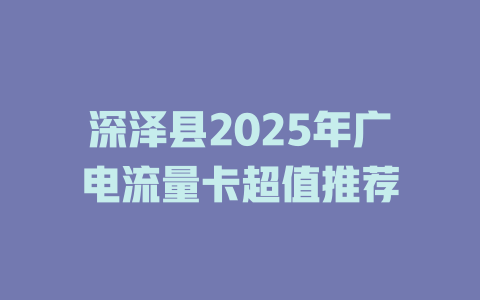深泽县2025年广电流量卡超值推荐