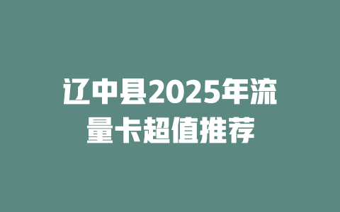 辽中县2025年流量卡超值推荐