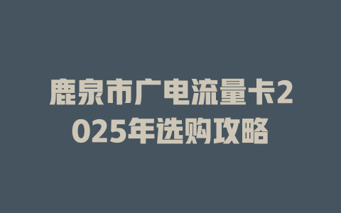 鹿泉市广电流量卡2025年选购攻略