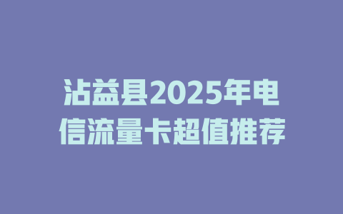 沾益县2025年电信流量卡超值推荐