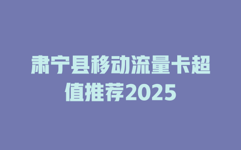 肃宁县移动流量卡超值推荐2025