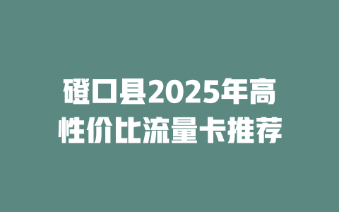 磴口县2025年高性价比流量卡推荐