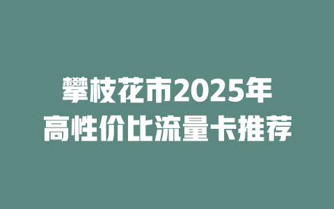 攀枝花市2025年高性价比流量卡推荐