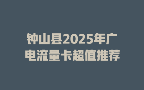 钟山县2025年广电流量卡超值推荐