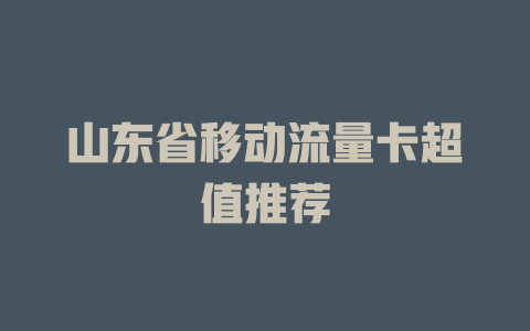 山东省移动流量卡超值推荐