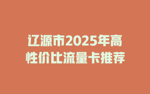 辽源市2025年高性价比流量卡推荐