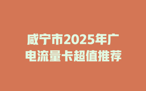 咸宁市2025年广电流量卡超值推荐