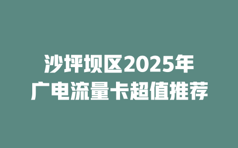沙坪坝区2025年广电流量卡超值推荐