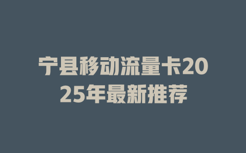 宁县移动流量卡2025年最新推荐