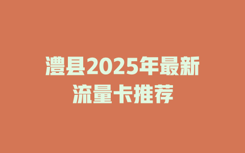 澧县2025年最新流量卡推荐