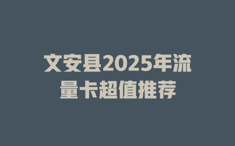 文安县2025年流量卡超值推荐
