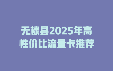 无棣县2025年高性价比流量卡推荐