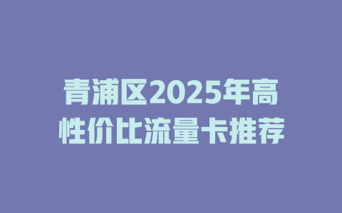 青浦区2025年高性价比流量卡推荐