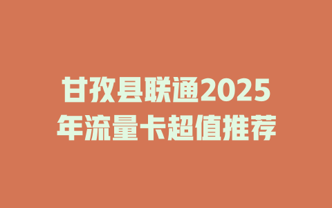 甘孜县联通2025年流量卡超值推荐