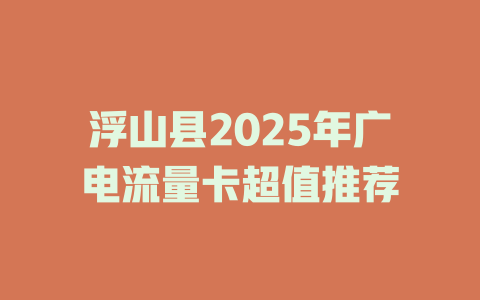 浮山县2025年广电流量卡超值推荐