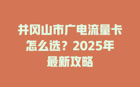 井冈山市广电流量卡怎么选？2025年最新攻略