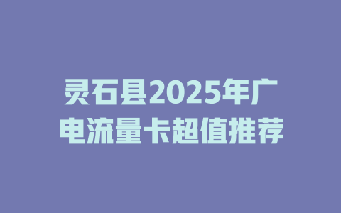 灵石县2025年广电流量卡超值推荐