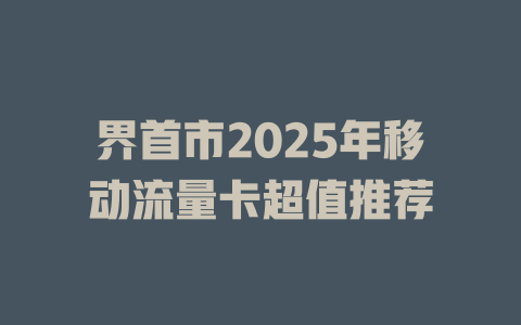 界首市2025年移动流量卡超值推荐