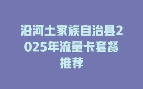沿河土家族自治县2025年流量卡套餐推荐