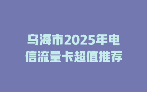 乌海市2025年电信流量卡超值推荐