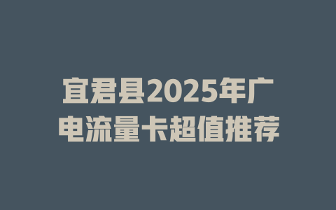 宜君县2025年广电流量卡超值推荐