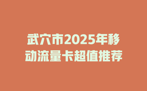 武穴市2025年移动流量卡超值推荐