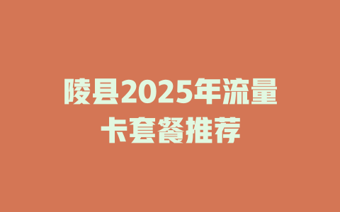 陵县2025年流量卡套餐推荐