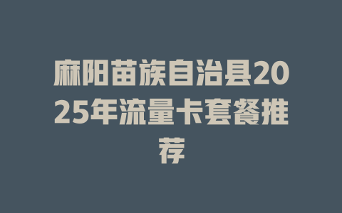 麻阳苗族自治县2025年流量卡套餐推荐