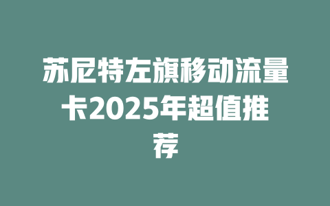 苏尼特左旗移动流量卡2025年超值推荐