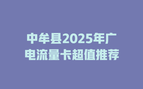 中牟县2025年广电流量卡超值推荐