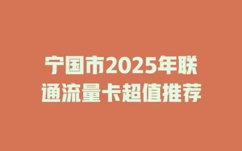 宁国市2025年联通流量卡超值推荐
