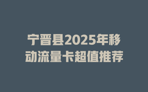 宁晋县2025年移动流量卡超值推荐