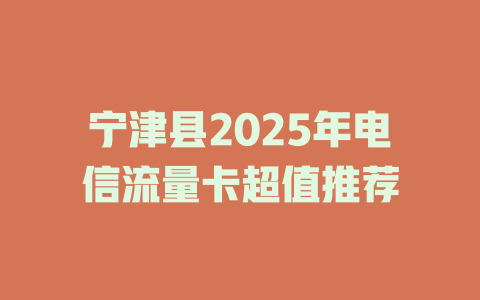 宁津县2025年电信流量卡超值推荐